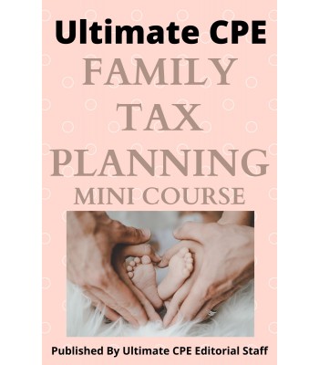 Family Tax Planning 2024 Mini Course